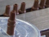 brown001.jpg